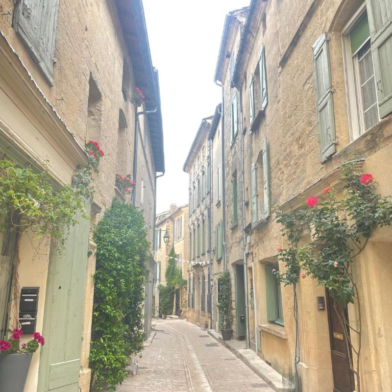 Uzes duplex atypique calme