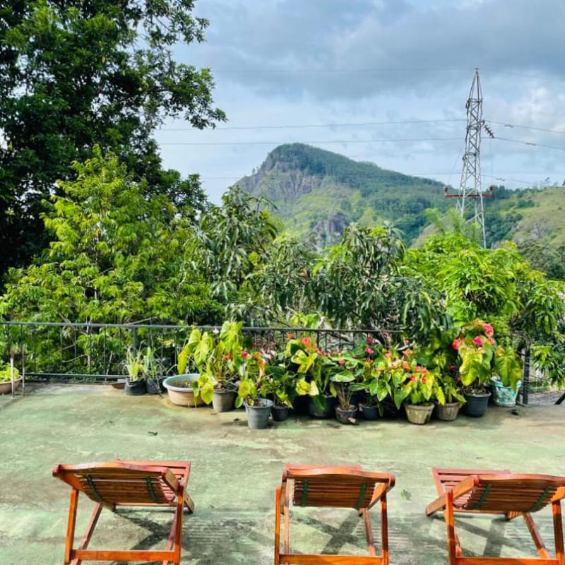 Welcome Homestay