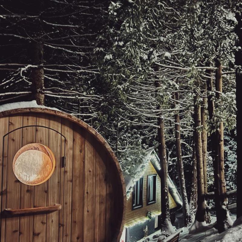 Chalet bord de l'eau