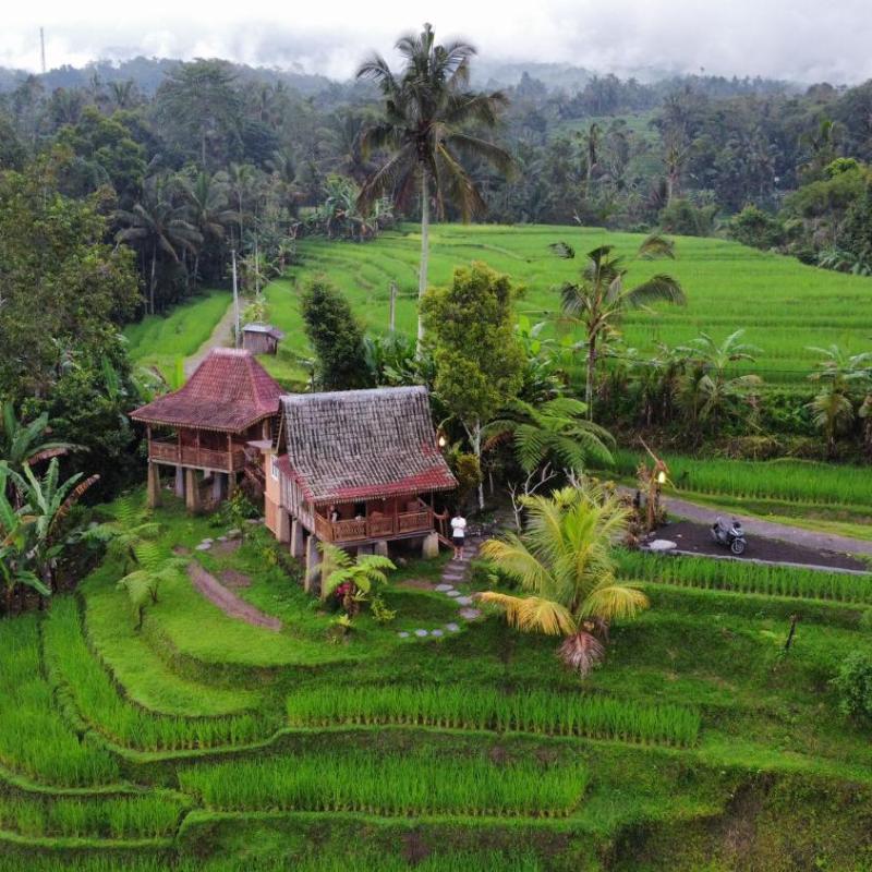 D'Ume Bendoel Homestay