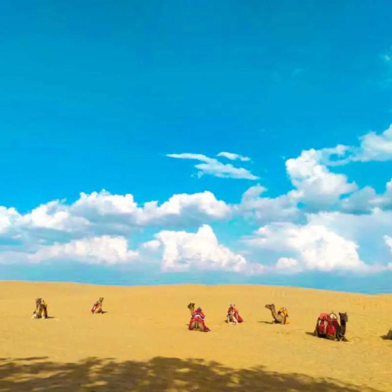 Jaisalmer Desert Camp