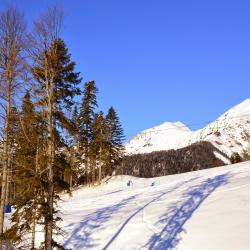Горнолыжный курорт Роза Хутор, Эсто-Садок