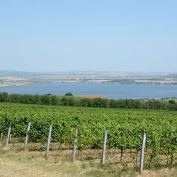 Южноморавский край