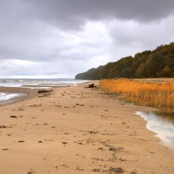 Калининградская область